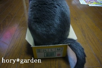 炟`
