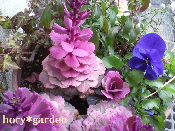 ւցccctނƂĂȂ̂΂ꂿႤˁcB