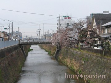 3/31@_ώ@8ځifWJo[Wj