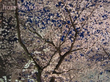 ԗzȂc̐FŊy߂ˁi΁j