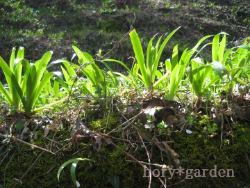 VK炫ւ炱܂Ȃ񂾂낤ȂB