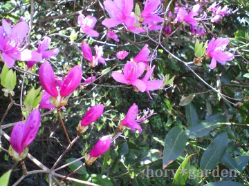 ̃TcLccW͂܂t̓WJcԂ͂܂܂cB