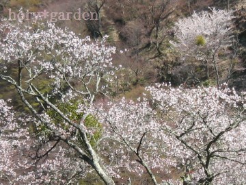 ԏƃr[gR̈ێɖ𗧂Ă܂B