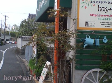 邩ȁ`cȂ낤Ȃ`c񂾂ǂȂ`c