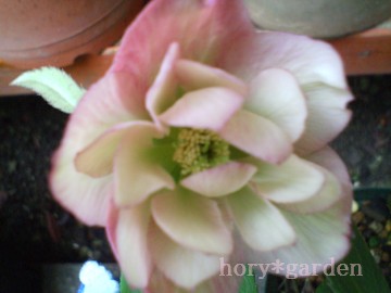 炢ĂԂႤAԉԂƐFႤˁ