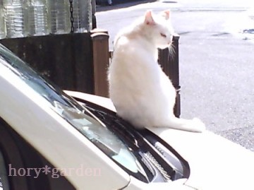 ̎qȂǁc킟ca͂ȂǁB