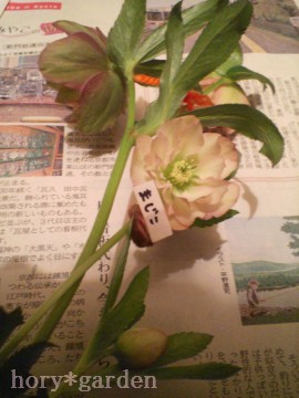 ܁`A܂܂`ĉ͒mĂ邯ǁAƂȂA}WW[B