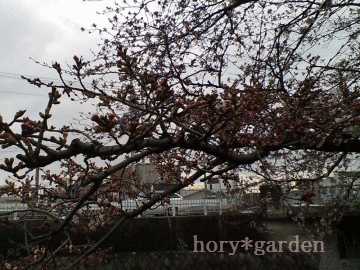 ̏ꏊAقڒ_ώ@łĂ₟AIII