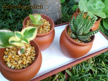 ́AxBeɉ̂ŁcyOcĂ܂i΁j