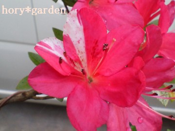 \z̔߂Ƃ͈Ⴂ܂ci΁j