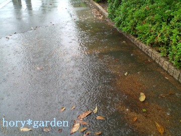 ANA[iOc͂܂ȂĂAxVxVɂȂ܂ij