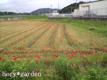 㠈iqiQVjĎcˁcȂB