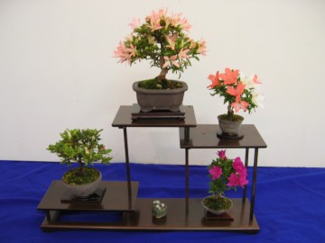 э炫ɂЂ邱ƂɋCÂ܂B