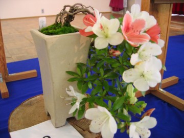 オ̕cāHHĂȂĂ̂łcɐ̂