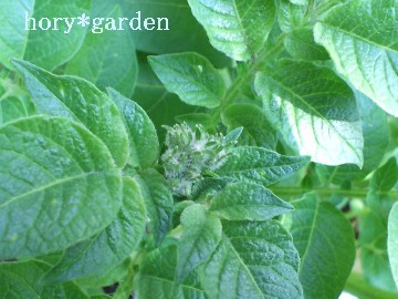 Ԃ炢Ai΂ꂿႤˁi΁j