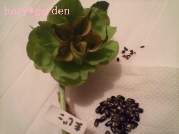 ȂR܂ācۑ͗N̗ƂɁB