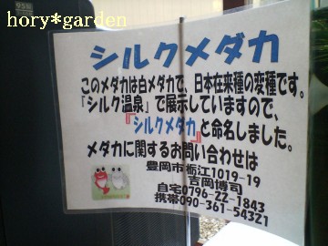 _JɊւ邨₢킹āc낤H