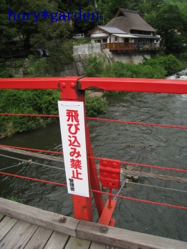 ֎~ĂĂȂł񂩂Ȃc͗ɋꂵށB