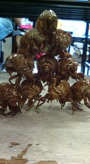 ꂪIs~bhIcĊwZō񂩁HN̂H񂽁H