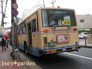 ̊X̔F̃oXŁAR̘[ɍs