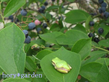 `ƌ߂鎋̐ɂ́cu[x[