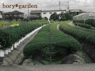 oXǂȂāAƂ悭錜Rei΁j