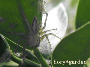 ʐ^̊pxȂɂƂƂQ̊