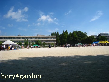 󂪂ƂĂeȂɂł̂ˁ