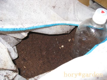 lbgłǂ܂ŖhôHx܂ł͒o債Ă܂I