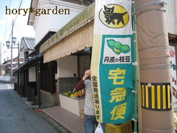 r[̂Ɏ}Iō`łjłȂcB