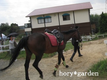 傫ȔnƊFJȂ̂ˁA̒ʍsĂli΁j