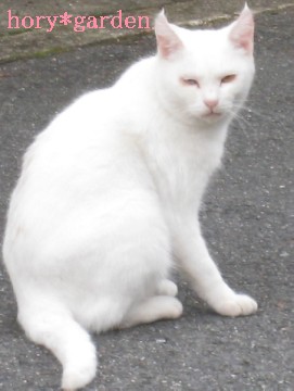 낿[Aꏊ肵Ă߂B͎Ԃ̏ŐQĂ邩ȂH