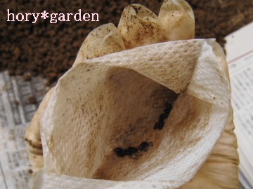 Xvv̎ʐ^ǁcׂČ˂i΁j