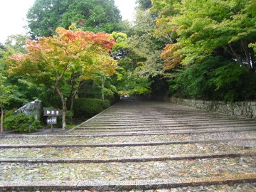 ͊ɂ₩₯ǁcǂǂRグȂĂ̂˂i΁j