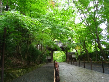 ~W̃gl`łt疾邢͋C`