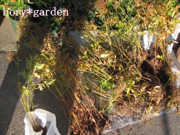 h̃AX`xIāAԂɏ荇邩