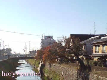 11/11@_ϑ22ځ@Aڂ̓ɂڂ̓