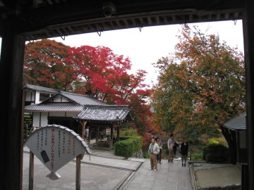 P􎛂͎R̒Ȃ̂ŁAR̍gt،io܂