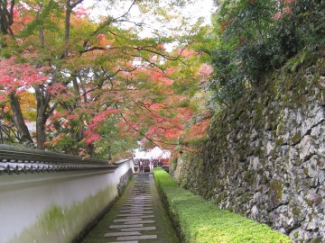 x́A\~WDȂ̂ŁAĂƊȂ́