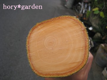 {ɂ܂ނ˂Ad݂cNւc߂NB