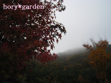 ₵Ă邩]vFƂcʐ^͈ÂĎsĂ邯ǁi΁j