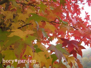 ȐFȐF͈ڂœxOx悤ȁcCi΁j