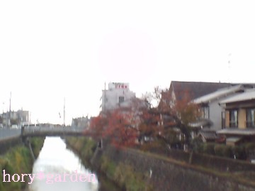 ȂŁAȂɃsgꂽ낤cVb^[肫OɓȂH