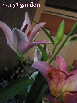 ԕ́AsZbgŎ낤ȁHɉԕtƗȂ̂ˁB