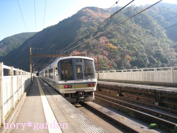 ̎R̐FÂcȂȂ񂾂˂c~˂B