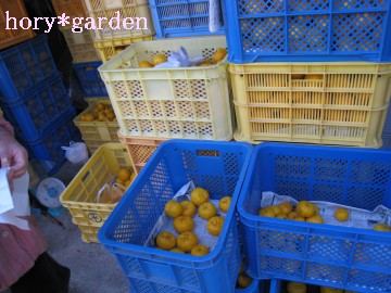 ĂŁc䂸̓Ă񂾂낤ȂB