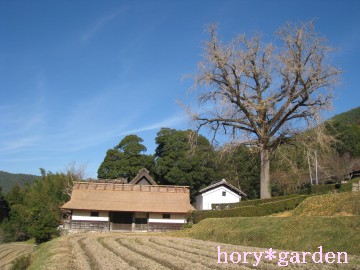 ኱AY߂ĖȂƂclԂď̂łˁB