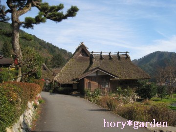 RR͌قǍłȂǁcRR܂łi΁j