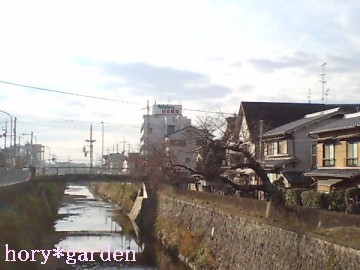 12/11�@��_�ϑ�45����