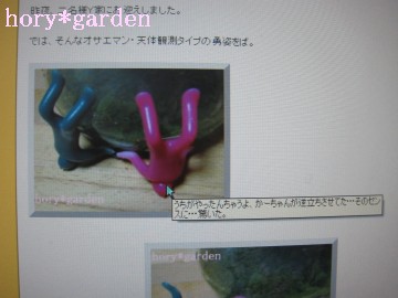 ���R�͔�΂��Ə����Ă����Ȃ���c�ʐ^�Ő������Ƃ���i�΁j